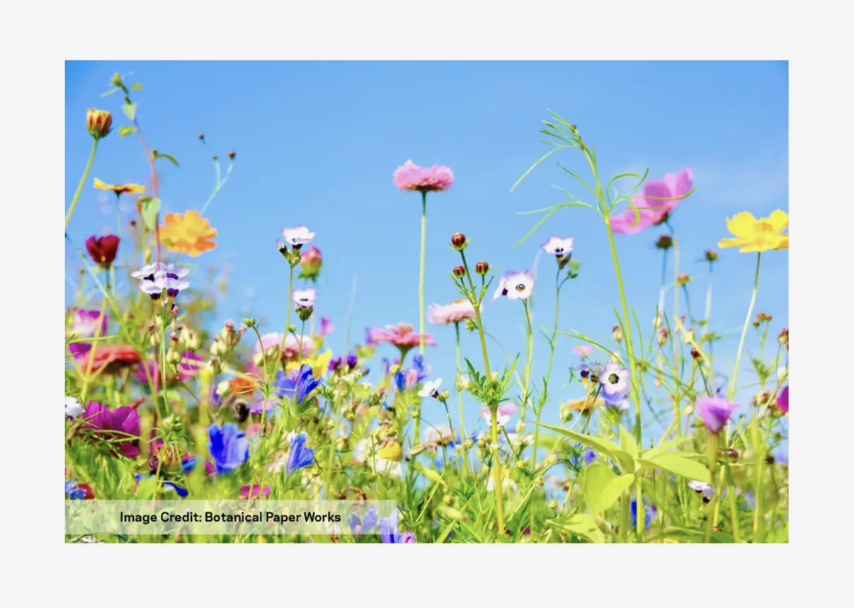 Wildflower Confetti Vile (compostable confetti!)