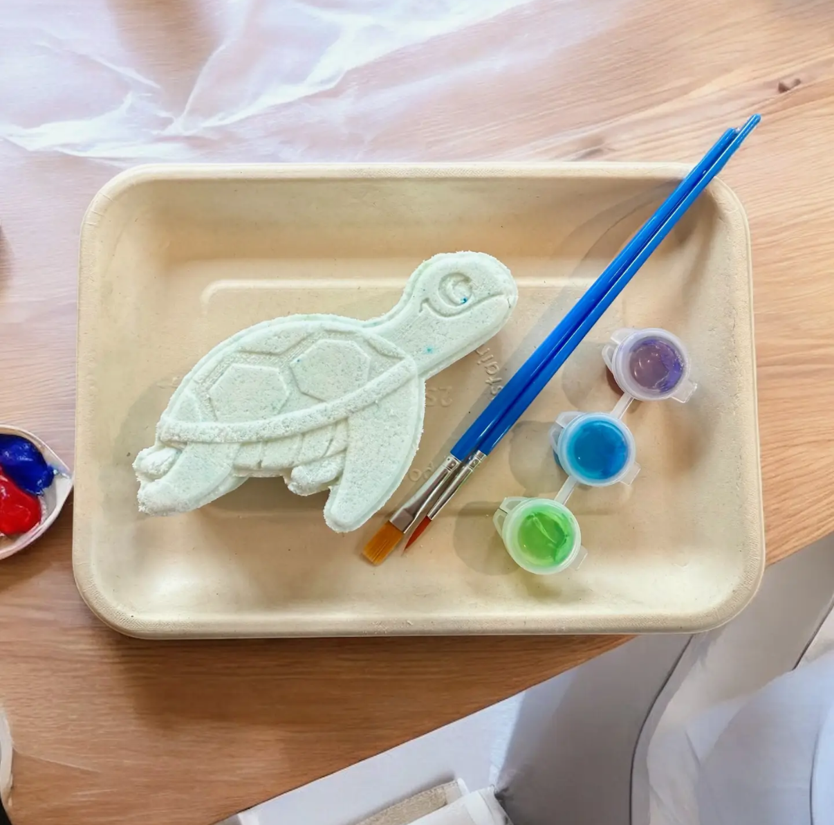 Paint Your Own Bath Bomb Kit (turtle)