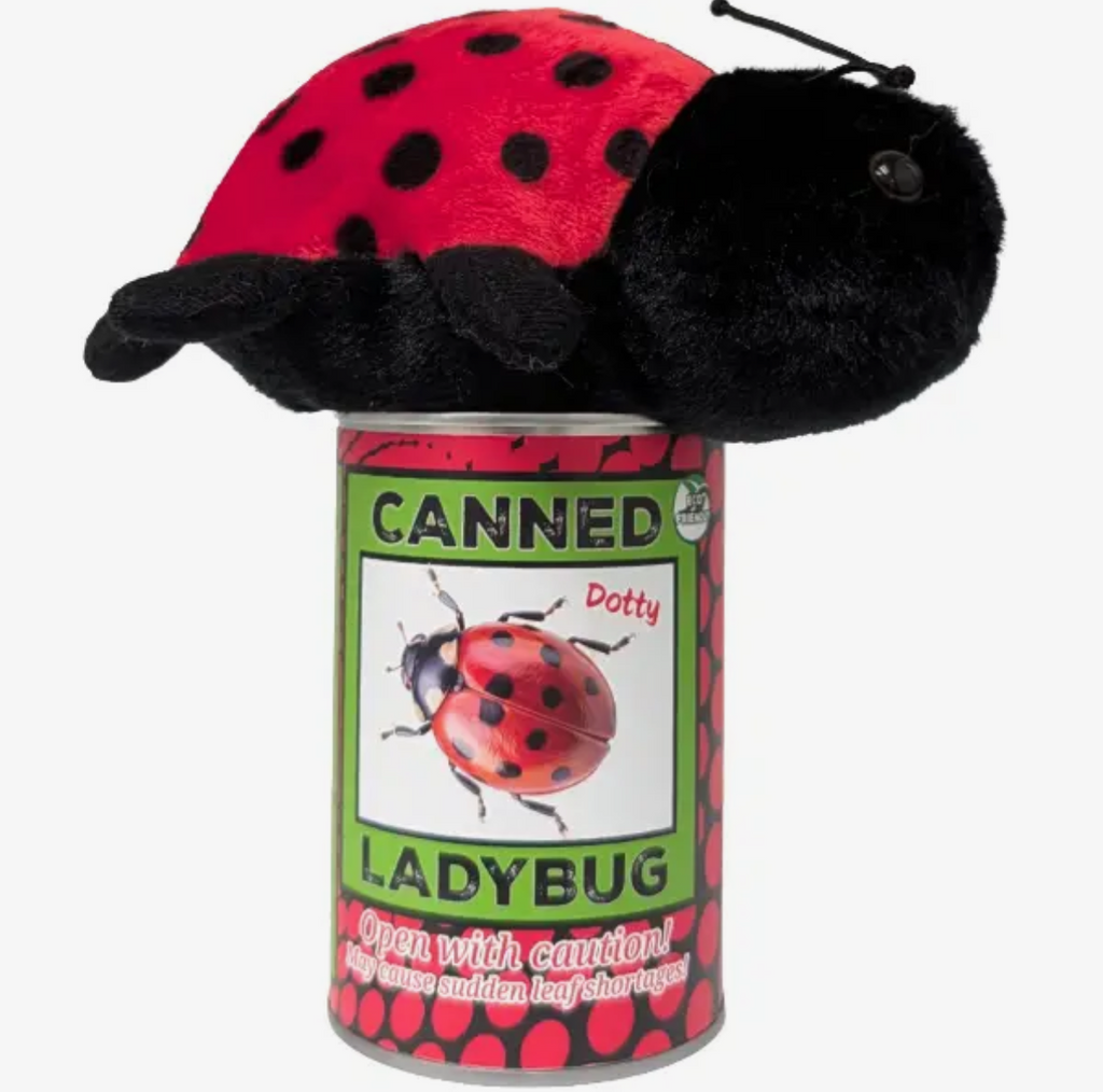 Canned Ladybug