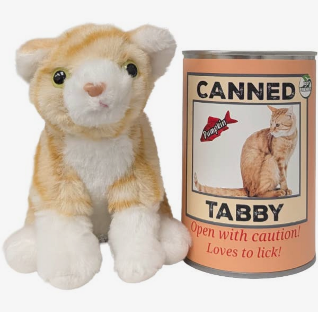 Canned Tabby Kitten