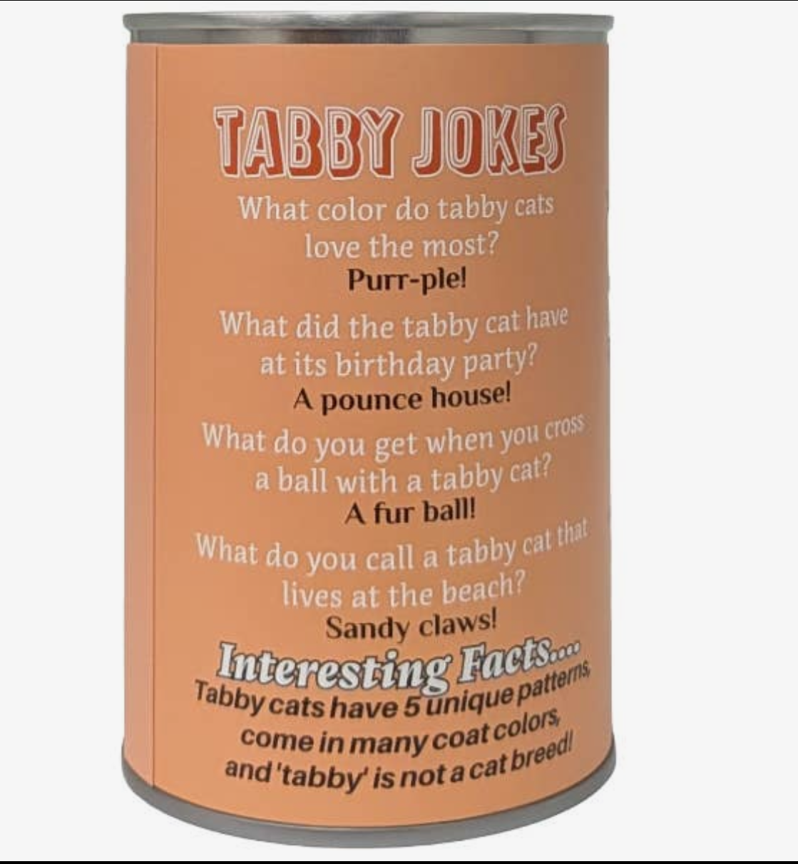 Canned Tabby Kitten