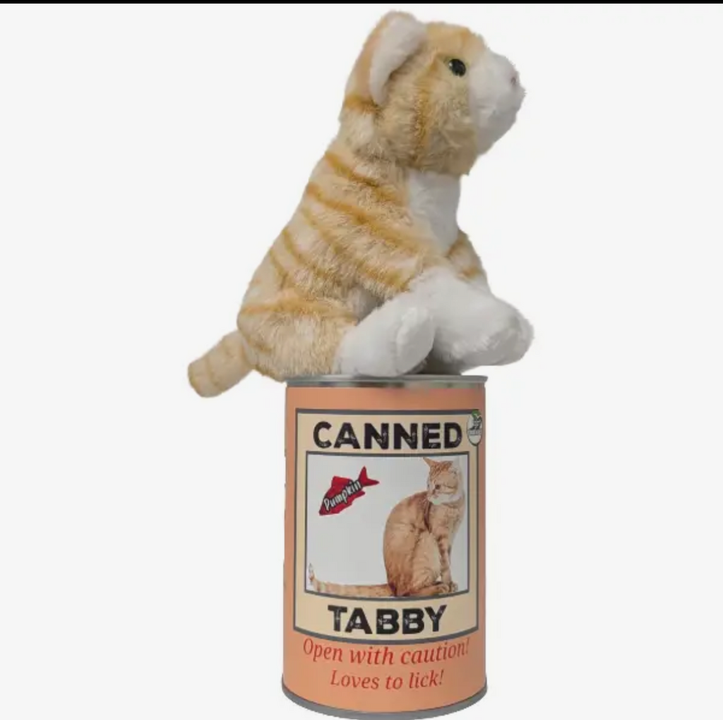 Canned Tabby Kitten