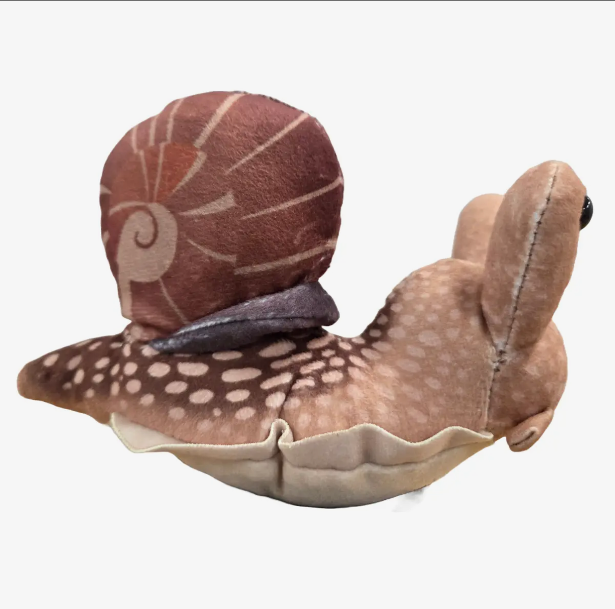Canned Snail