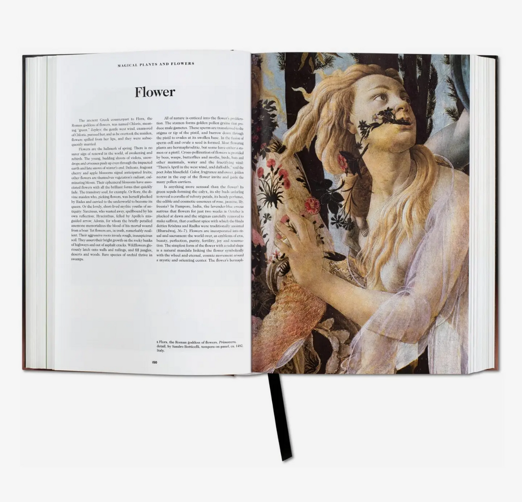 The Book of Symbols: Reflections on Archetypal Images