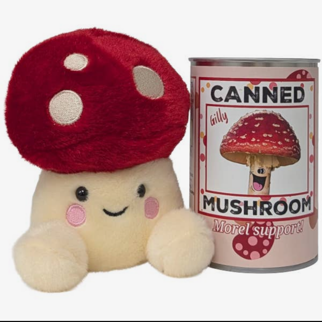 Canned Mushroom