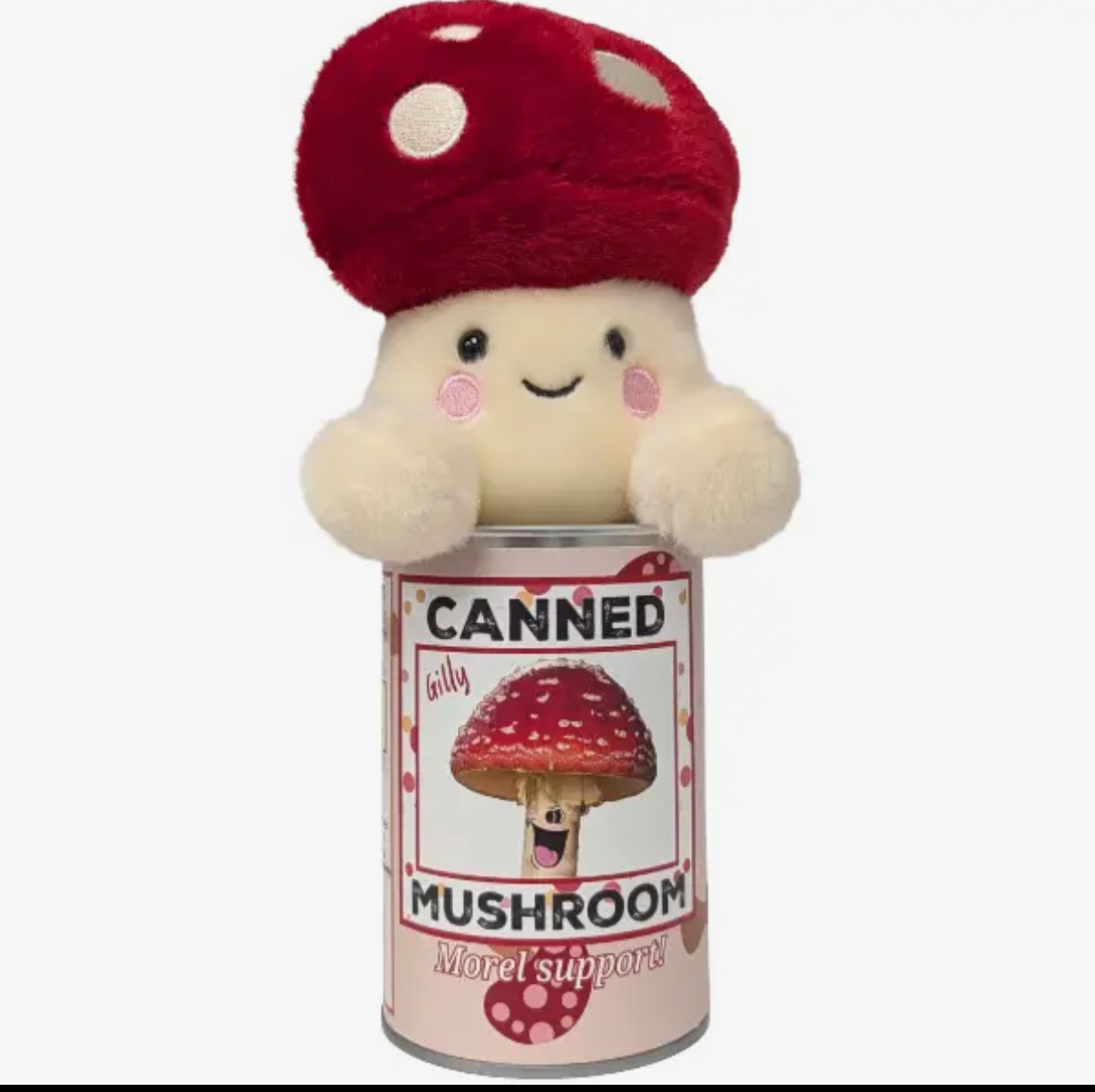 Canned Mushroom