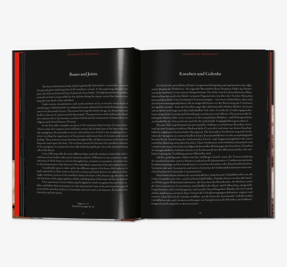 Taschen Anatomical Waxes Hardcover