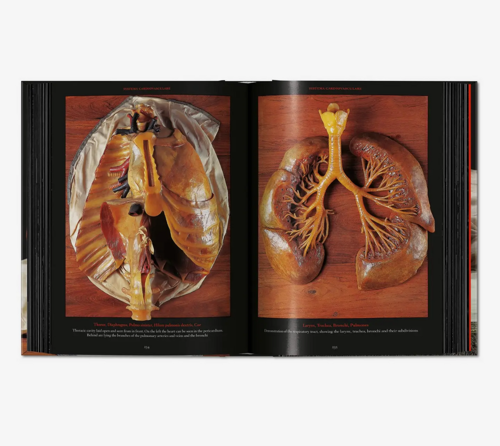 Taschen Anatomical Waxes Hardcover