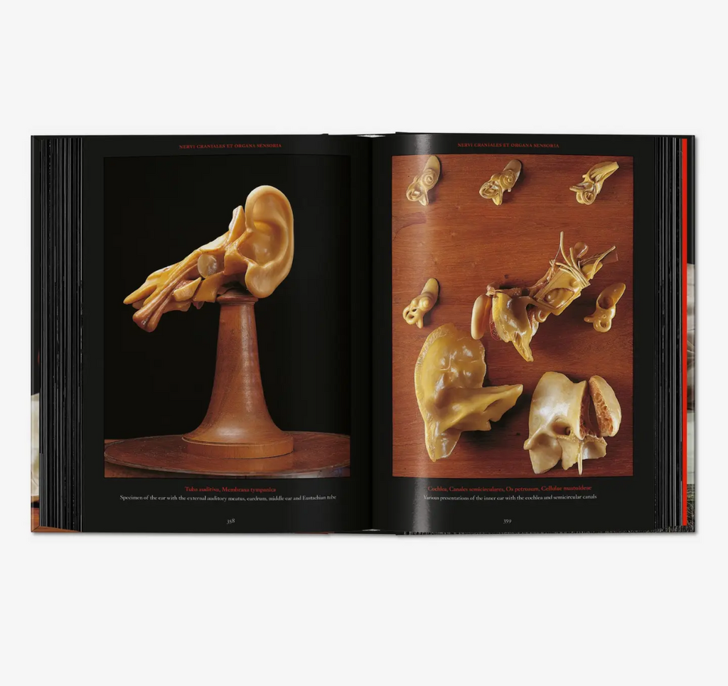 Taschen Anatomical Waxes Hardcover