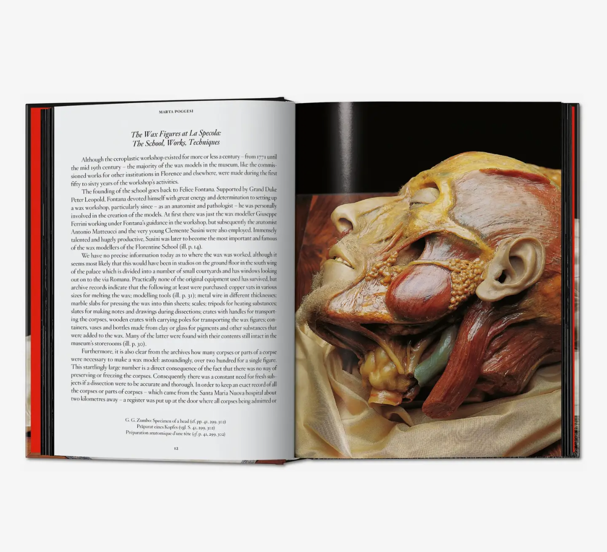 Taschen Anatomical Waxes Hardcover