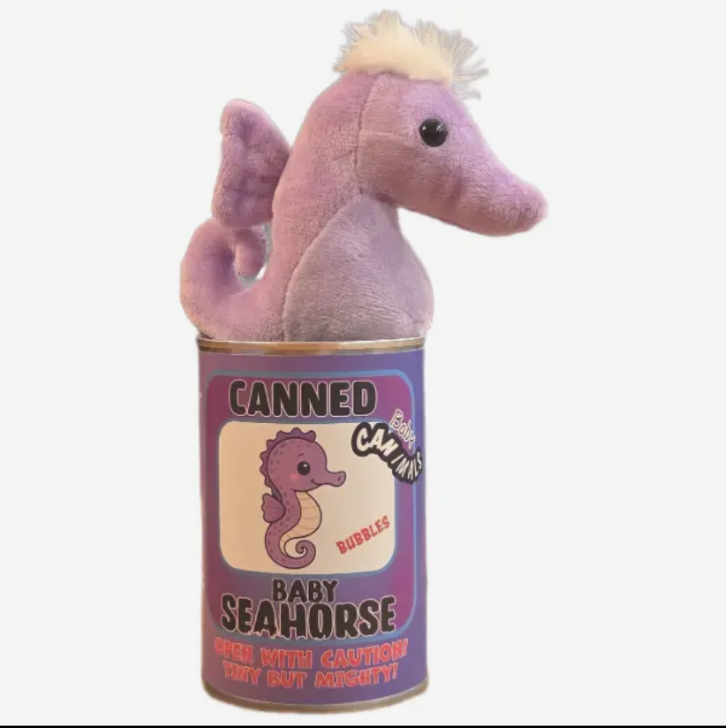 Canned Baby Seahorse