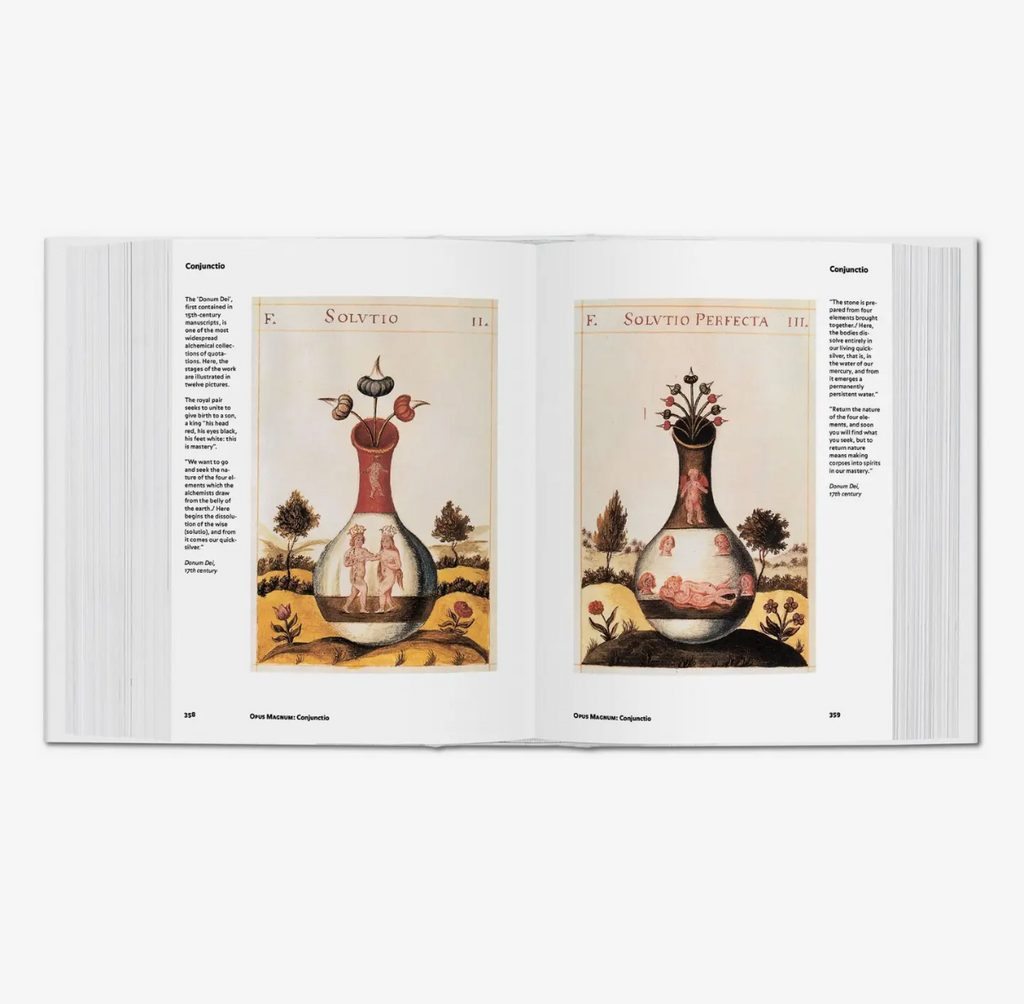 Alchemy & Mysticism Hardcover