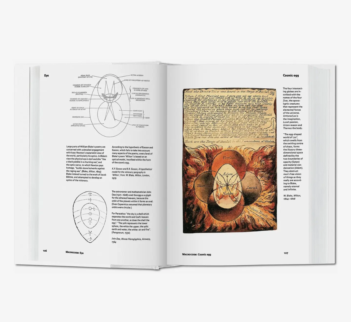 Alchemy & Mysticism Hardcover