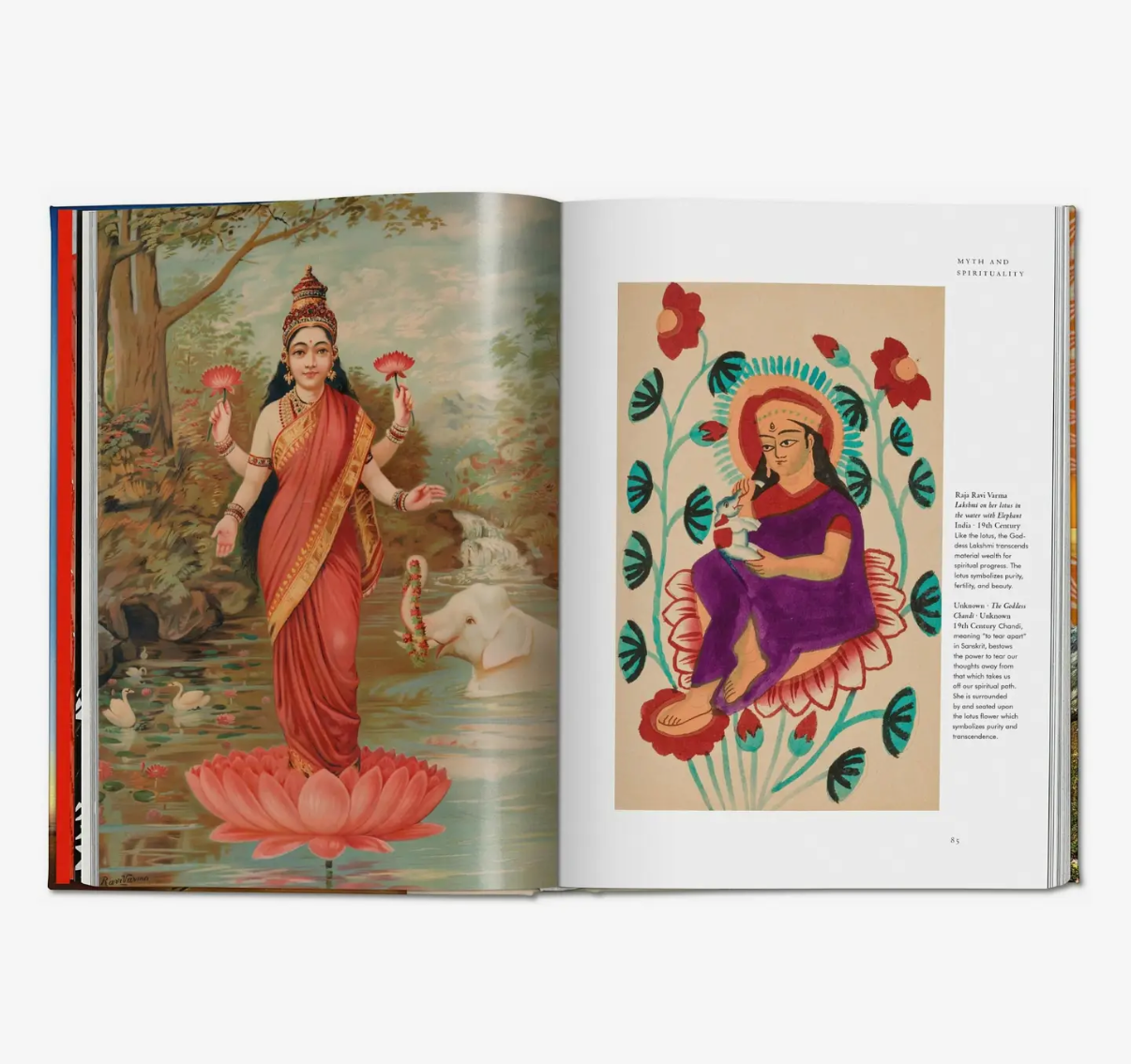 Plant Magic Book