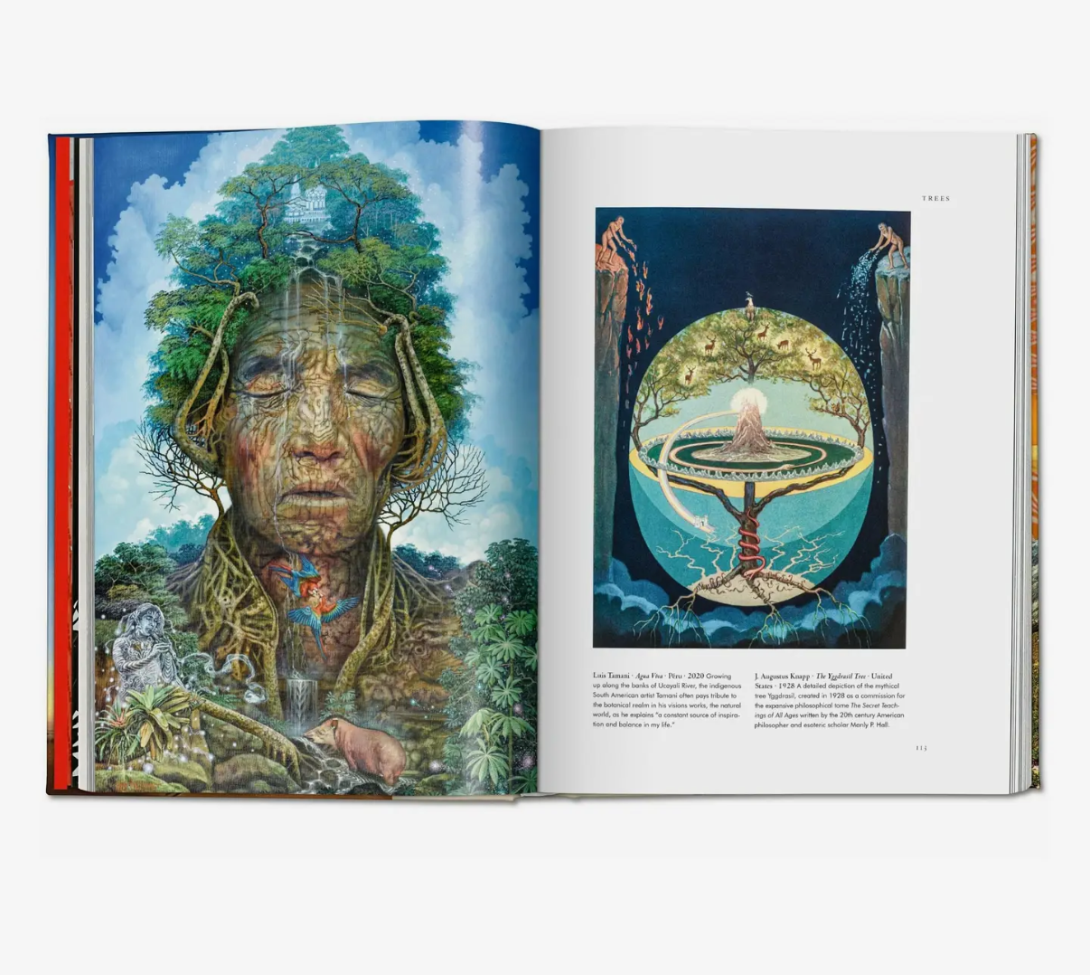 Plant Magic Book
