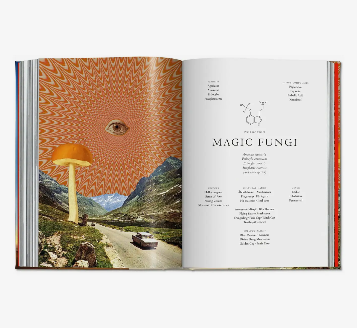 Plant Magic Book