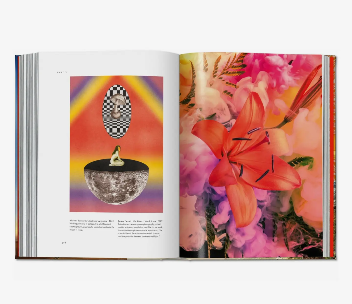 Plant Magic Book