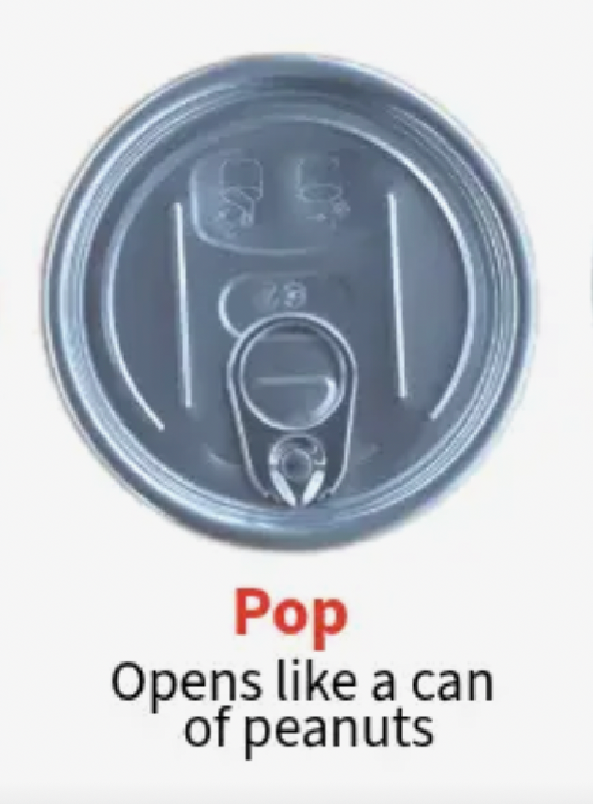 Canned Chameleon