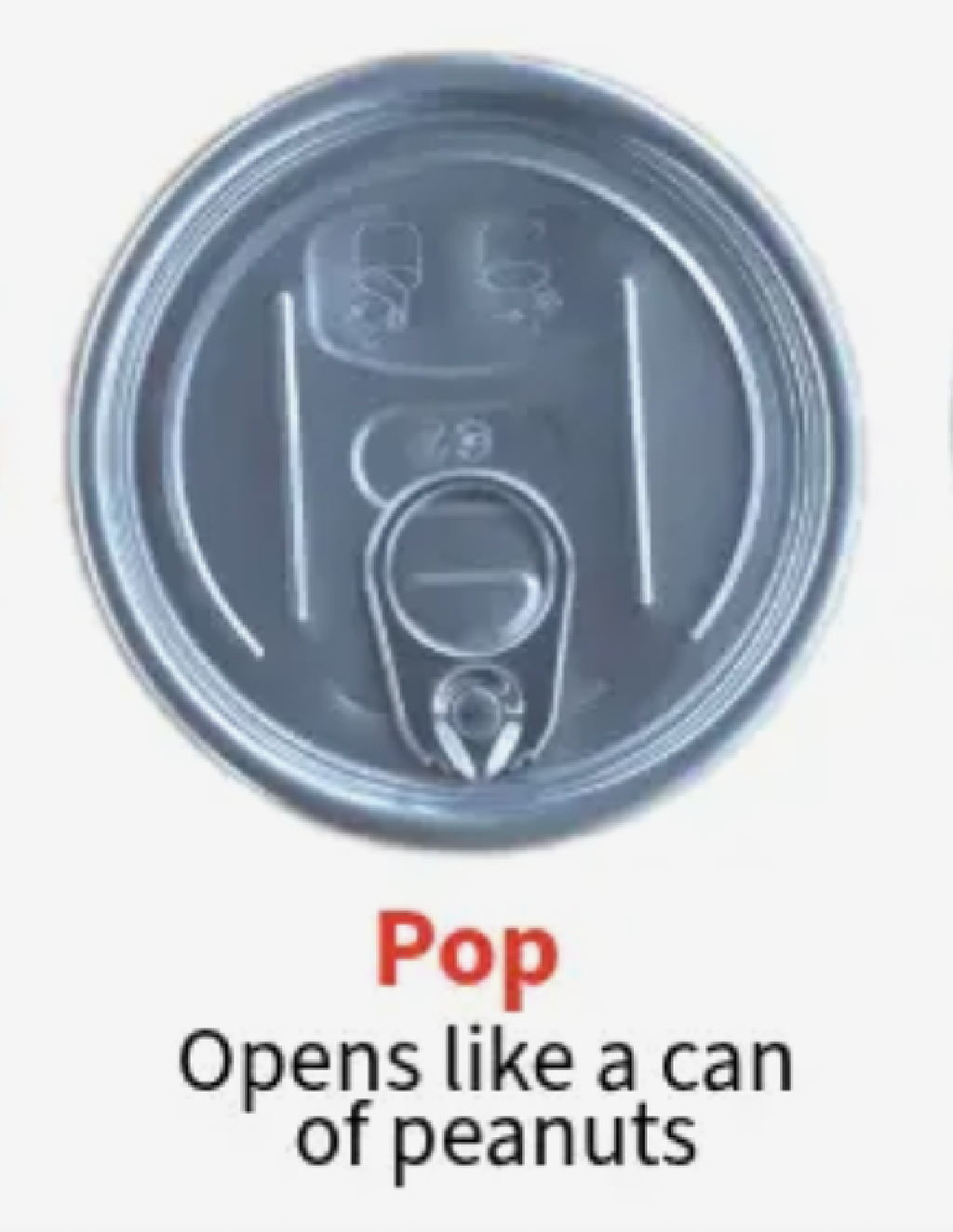 Canned Mushroom